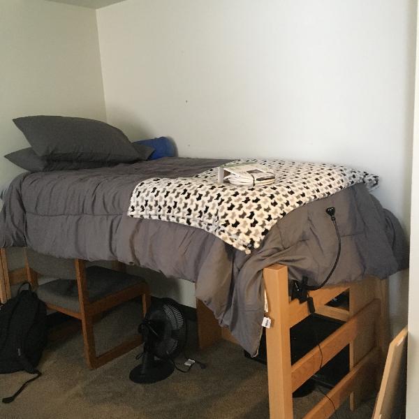 Webster Apartments Photo