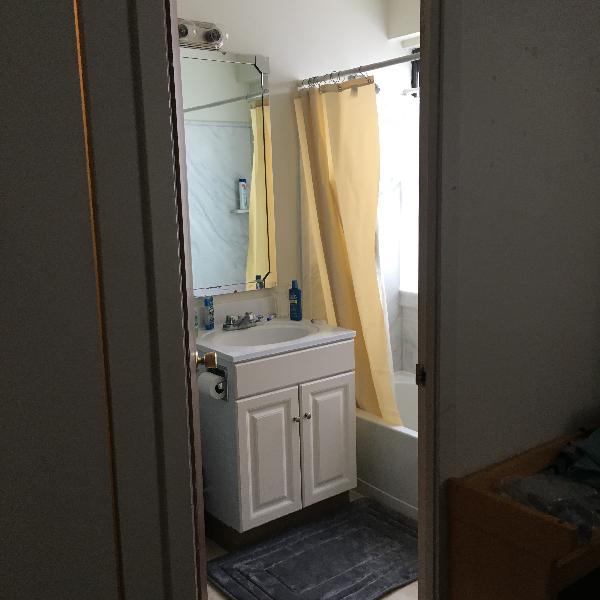 Webster Apartments Photo