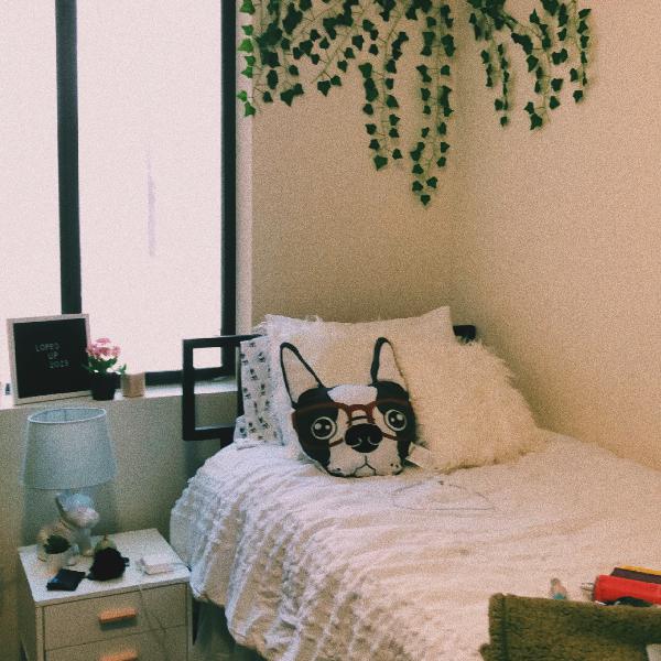 Papago Apartments Photo