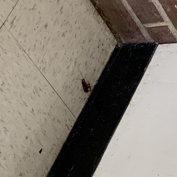 Foster/Knox Apartments Photo