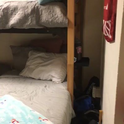 Forest Quadrangle Video