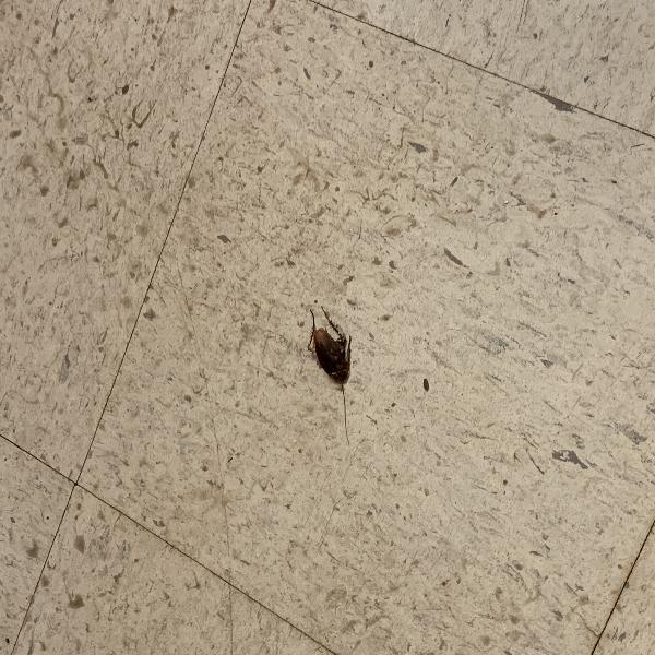 Foster/Knox Apartments Photo