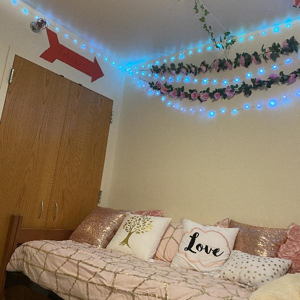 Max Palevsky Residential Commons Photo